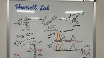 Whiteboard with colorful hand-drawn lab diagrams, sketches, and multiple line plots